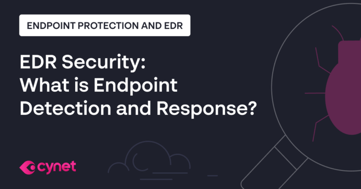 EDR Security: What is Endpoint Detection and Response? image